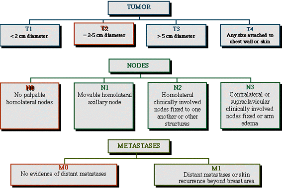 TNM Classification